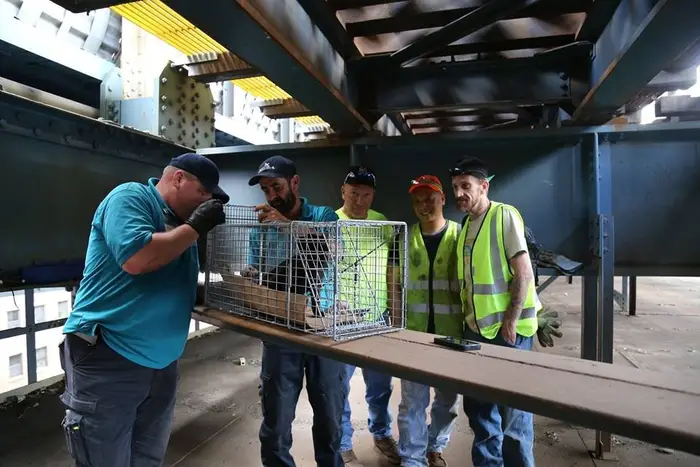 The NYC DOT Manhattan Bridge workers who got kitty to safety<br/>